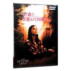 DVD| это лес ., ангел. автобус ....