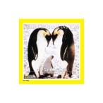 DVD／ナショナル・ジオグラフィック−小さな南極探検隊−