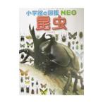 昆虫／小池啓一