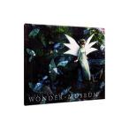 Little Seraph／WONDER MUSEUM