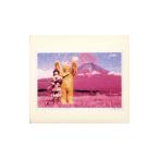  сборник | один период один .~Sweets for my SPITZ