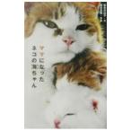  мама стал кошка. море Chan | скала номер день ..[ документ ]| скала . свет .[ фотография ]