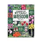 ... похоже цветочный горшок 500 вид | Nagaoka .