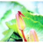  цветок .....| гора внизу . плата 