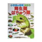 両生類・はちゅう類／松橋利光