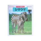  зебра | больше . свет .