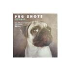  Pug Schott | Jim * гонг to поле 