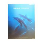 Deep blue photobook| Омори доверие 