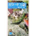 カワハギ万歳！−釣った、食った、はまった−／嵐山光三郎