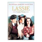 DVD/名犬ラッシー/家路