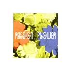 T−スクェア／Passion Flower