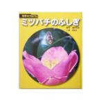  Mitsuba chi. ...| Kuribayashi .