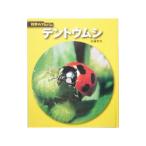  палатка umsi| Sato иметь .