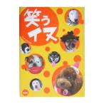  смех . собака | хит Studio 