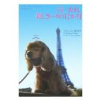 ku.. соус, прекрасный .. Париж. 12. месяц | Stephen * Clarke 