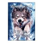 DVD| four * The *seik*ovu*livenji~re KONI ng* Night * Japan * Tour 2005