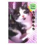 chi. кошка. .*.*.| кошка. рука . фирма 