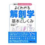 Yahoo! Yahoo!ショッピング(ヤフー ショッピング)よくわかる解剖学の基本としくみ／坂井建雄