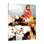 Maroc-. рисовое поле . не фотоальбом 