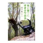  рис .... oo рогач | Yamaguchi .