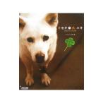 ki сиденье. собака yuki| Julien 