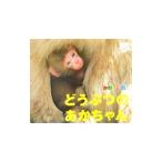 Yahoo! Yahoo!ショッピング(ヤフー ショッピング)かわいいね！どうぶつのあかちゃん／ジュリアン