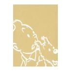 ショッピングメモリアルDVD DVD／タンタンの冒険旅行 劇場版アニメーション メモリアルDVD−BOX