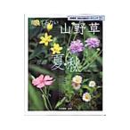 ... похоже луговые и горные травы лето * осень |... доверие 