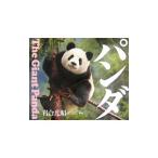  Panda | скала . свет .