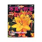  легко .... на фото ..29| Япония камера фирма 