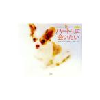 ハートくんに会いたい／桜田恵美子