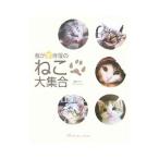 .. дом вызывающий чувство гордости .. большой набор | Studio Cello 