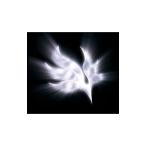 BUMP OF CHICKEN／orbi