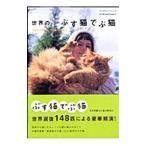  мир. .. кошка .. кошка |eks знания 