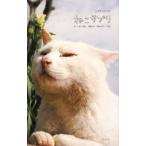 ne. supplement |Love Cat55