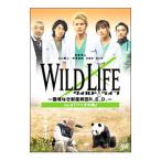 DVD| wild жизнь ~ страна . нет ....R.E.D.~Vol.2 Panda. слезы 