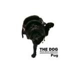 THE DOG Photo Book Collection Pug|a- список Inter National 