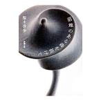  болото земля. есть лес . выпадение .| груша дерево ..