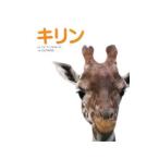 キリン／エレファント・トーク