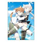 DVD/ストライクウィッチーズ 第6巻 限定版