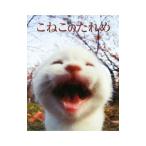 ko. это соус .|...