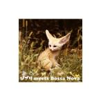  сборник |GHIBLI MEETS BOSSA NOVA