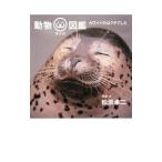  животное Omega иллюстрированная книга Kawai i.. kchi был | Matsubara стол 2 