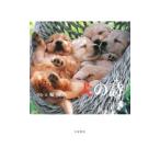  собака. поэзия |. Akira 