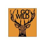 TRICERATOPS／I GO WILD 初回受注限定生産盤
