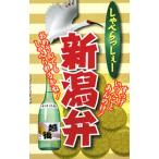 しゃべらっしぇー新潟弁／全国方言研究会