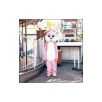 いきものがかり／なくもんか 初回限定盤