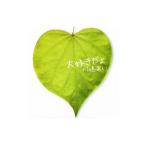 川嶋あい／大好きだよ 初回生産限定盤