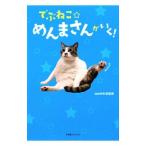 でぶねこ☆めんまさんがいく！／ｓａｔｏ