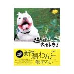  Niigata ... большой нравится!| Niigata день .. промышленная компания 